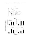 INDUCTION OF IMMUNE RESPONSE diagram and image