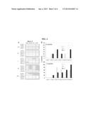 INDUCTION OF IMMUNE RESPONSE diagram and image