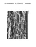 CORE/SHELL STRUCTURED ELECTRODES FOR ENERGY STORAGE DEVICES diagram and image