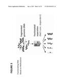 PROCESSES AND COMPOSITIONS FOR METHYLATION-BASED ENRICHMENT OF FETAL     NUCLEIC ACID FROM A MATERNAL SAMPLE USEFUL FOR NON-INVASIVE PRENATAL     DIAGNOSES diagram and image