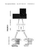 PROCESSES AND COMPOSITIONS FOR METHYLATION-BASED ENRICHMENT OF FETAL     NUCLEIC ACID FROM A MATERNAL SAMPLE USEFUL FOR NON-INVASIVE PRENATAL     DIAGNOSES diagram and image