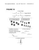 PROCESSES AND COMPOSITIONS FOR METHYLATION-BASED ENRICHMENT OF FETAL     NUCLEIC ACID FROM A MATERNAL SAMPLE USEFUL FOR NON-INVASIVE PRENATAL     DIAGNOSES diagram and image