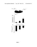 Methods of Predicting Methotrexate Efficacy and Toxicity diagram and image