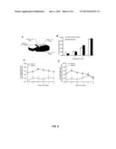 Methods of Predicting Methotrexate Efficacy and Toxicity diagram and image