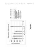 PROCEDURE FOR THE GENERATION OF A HIGH PRODUCER CELL LINE FOR THE     EXPRESSION OF A RECOMBINANT ANTI-CD34 ANTIBODY diagram and image