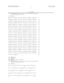 PROCEDURE FOR THE GENERATION OF A HIGH PRODUCER CELL LINE FOR THE     EXPRESSION OF A RECOMBINANT ANTI-CD34 ANTIBODY diagram and image