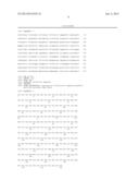 PROCEDURE FOR THE GENERATION OF A HIGH PRODUCER CELL LINE FOR THE     EXPRESSION OF A RECOMBINANT ANTI-CD34 ANTIBODY diagram and image