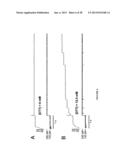 Force-Clamp Spectrometer And Methods Of Use diagram and image