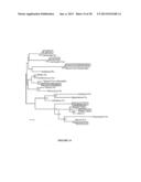 Force-Clamp Spectrometer And Methods Of Use diagram and image