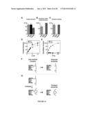 Force-Clamp Spectrometer And Methods Of Use diagram and image