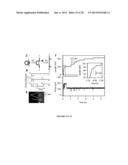 Force-Clamp Spectrometer And Methods Of Use diagram and image