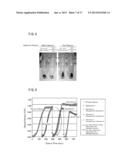 ALGA IN WHICH PRODUCTION OF PHOTOSYNTHETIC PRODUCTS IS IMPROVED, AND USE     FOR SAID ALGA diagram and image