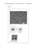 ALGA IN WHICH PRODUCTION OF PHOTOSYNTHETIC PRODUCTS IS IMPROVED, AND USE     FOR SAID ALGA diagram and image