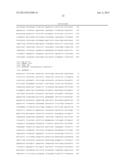 ALGA IN WHICH PRODUCTION OF PHOTOSYNTHETIC PRODUCTS IS IMPROVED, AND USE     FOR SAID ALGA diagram and image