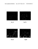 METHOD OF PRODUCING THE POLYPEPTIDE FOR TREATING VIRUS-INDUCED CANCER diagram and image