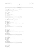 Delivery System for Cytotoxic Drugs by Bispecific Antibody Pretargeting diagram and image