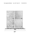 Bionanomaterials and Their Synthesis diagram and image