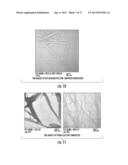 Bionanomaterials and Their Synthesis diagram and image