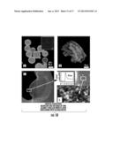 Bionanomaterials and Their Synthesis diagram and image