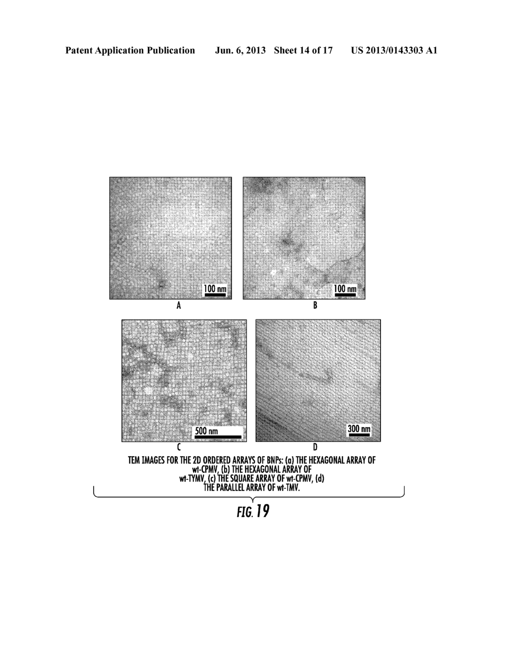 Bionanomaterials and Their Synthesis - diagram, schematic, and image 15