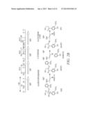 LIGF-TYPE SYSTEMS FOR BIOCONVERSION OF LIGNIN-DERIVED COMPOUNDS diagram and image