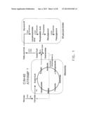 PRODUCTION OF POLYUNSATURATED FATTY ACIDS IN OLEAGINOUS YEASTS diagram and image