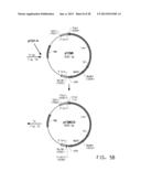 PRODUCTION OF POLYUNSATURATED FATTY ACIDS IN OLEAGINOUS YEASTS diagram and image