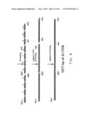 PRODUCTION OF POLYUNSATURATED FATTY ACIDS IN OLEAGINOUS YEASTS diagram and image