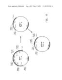 PRODUCTION OF POLYUNSATURATED FATTY ACIDS IN OLEAGINOUS YEASTS diagram and image