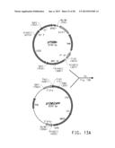 PRODUCTION OF POLYUNSATURATED FATTY ACIDS IN OLEAGINOUS YEASTS diagram and image