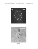Use of Functional Nanoelectrodes for Intracellular Delivery of Chemical     and Biomolecular Species diagram and image