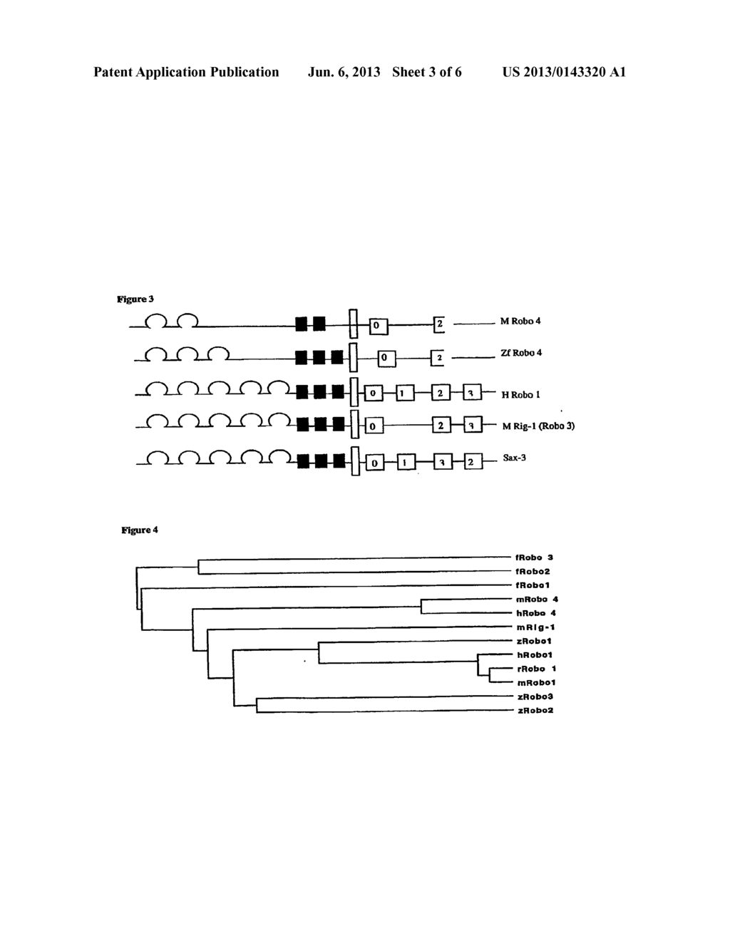 METHODS AND COMPOSITIONS FOR MANIPULATING THE GUIDED NAVIGATION OF     ENDOTHELIAL TUBES DURING ANGIOGENESIS - diagram, schematic, and image 04