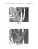 ASSEMBLED INTERMEDIATE COMPRISING A COILED-FILAMENT NONWOVEN WEB AND     ARTICLES diagram and image