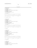 PEPTIDE CONJUGATES OF GLP-1 RECEPTOR AGONISTS AND GASTRIN AND THEIR USE diagram and image