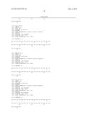 PEPTIDE CONJUGATES OF GLP-1 RECEPTOR AGONISTS AND GASTRIN AND THEIR USE diagram and image