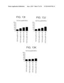 CHIMERIC POLYPEPTIDES AND USES THEREOF diagram and image