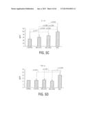 Protein Therapy for Treatment of Eye Diseases diagram and image