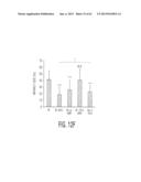 Protein Therapy for Treatment of Eye Diseases diagram and image