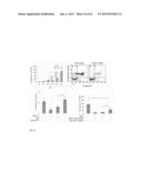 Protein Therapy for Treatment of Eye Diseases diagram and image