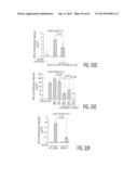 Protein Therapy for Treatment of Eye Diseases diagram and image