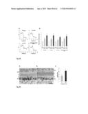 Protein Therapy for Treatment of Eye Diseases diagram and image