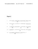 GROWTH HORMONE CONJUGATES diagram and image