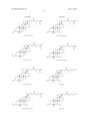 GROWTH HORMONE CONJUGATES diagram and image