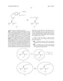 GROWTH HORMONE CONJUGATES diagram and image