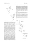 HCV Polymerase Inhibitors diagram and image