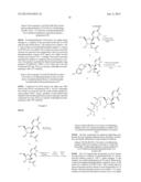 HCV Polymerase Inhibitors diagram and image