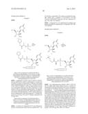 HCV Polymerase Inhibitors diagram and image