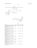 HCV Polymerase Inhibitors diagram and image