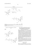 HCV Polymerase Inhibitors diagram and image