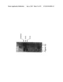 NUCLEAR SULFATED OXYSTEROL, POTENT REGULATOR OF LIPID HOMEOSTASIS, FOR     THERAPY OF HYPERCHOLESTEROLEMIA, HYPERTRIGLYCERIDES, FATTY LIVER     DISEASES, AND ATHEROSCLEROSIS diagram and image